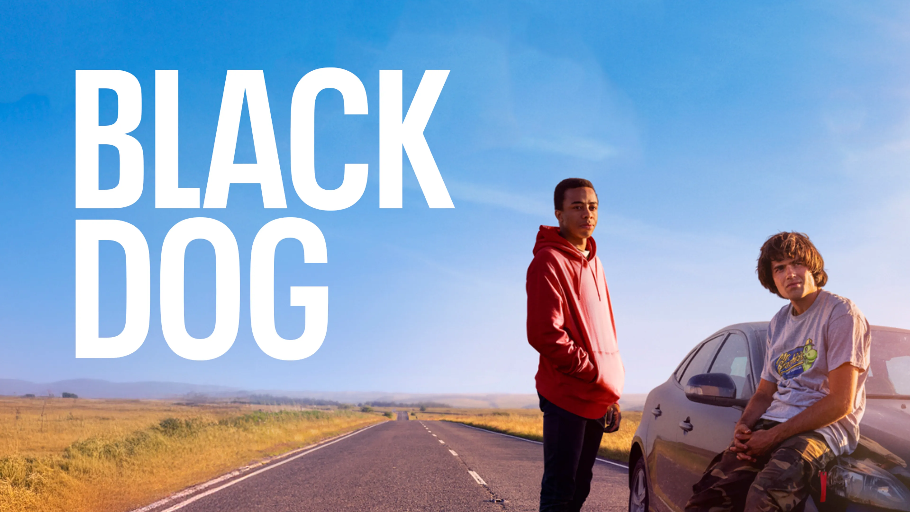 Black Dog poster